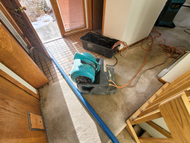 Water damage restoration experts in Cheney, KS