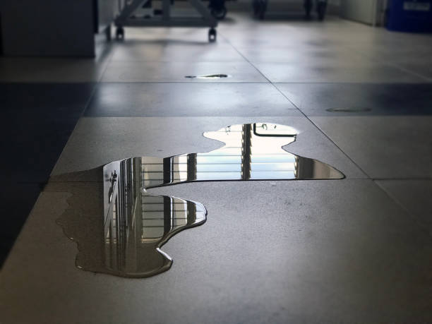 Professional Water damage restoration in Cheney, KS