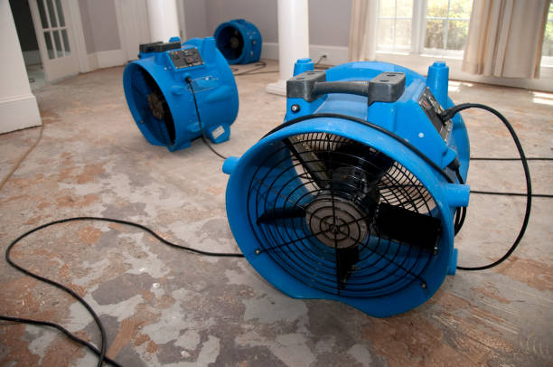 Best Basement water damage restoration  in Cheney, KS